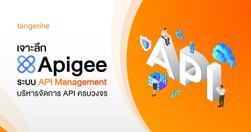 เจาะลึก Apigee ระบบ API Management บริหารจัดการ API ครบวงจร