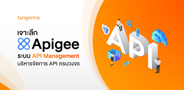 เจาะลึก Apigee ระบบ API Management บริหารจัดการ API ครบวงจร
