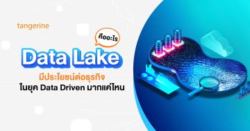 Data Lake คืออะไร มีประโยชน์ต่อธุรกิจในยุค Data Driven มากแค่ไหน