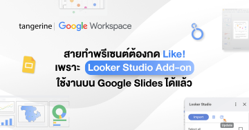 Looker Studio Add-on